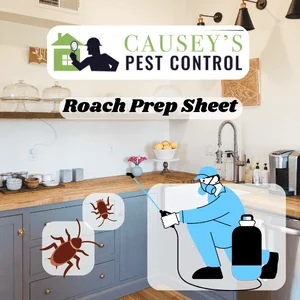 Roach Prep Sheet: Why This Pest Appears in Homes