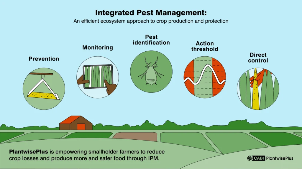 Should I Have Pest Control? Understanding the Core Decision