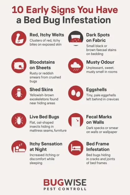 Signs of Infestation for Bed Bug Treatment North Decatur
