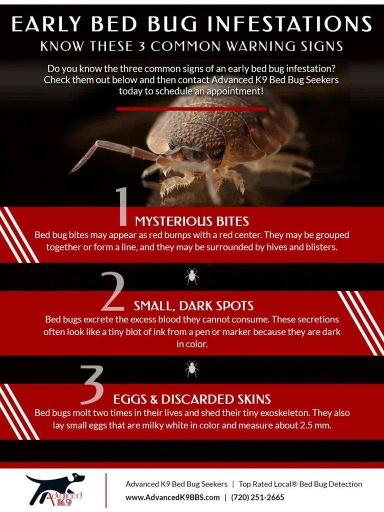 Signs of Infestation – How to Detect Bed Bugs Early