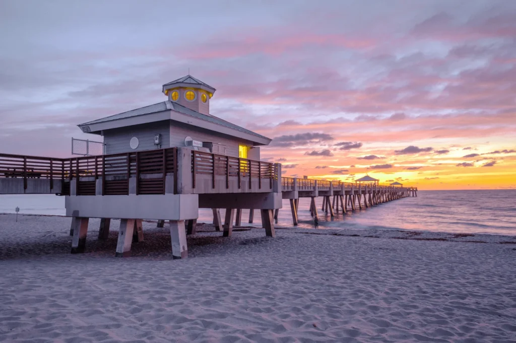 Signs of infestation in Juno Beach residences