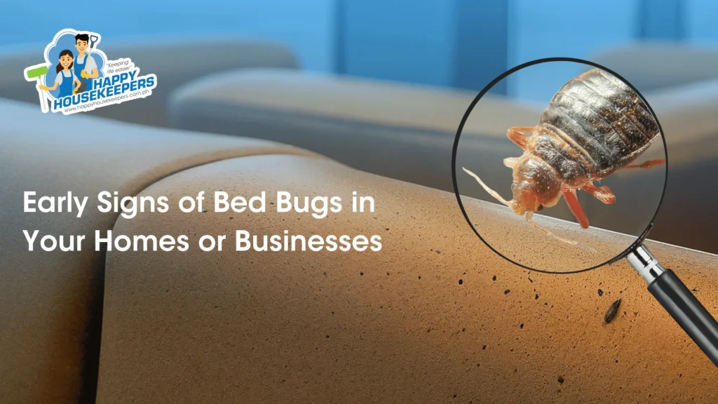 Signs of Infestation – Spotting Trouble Early
