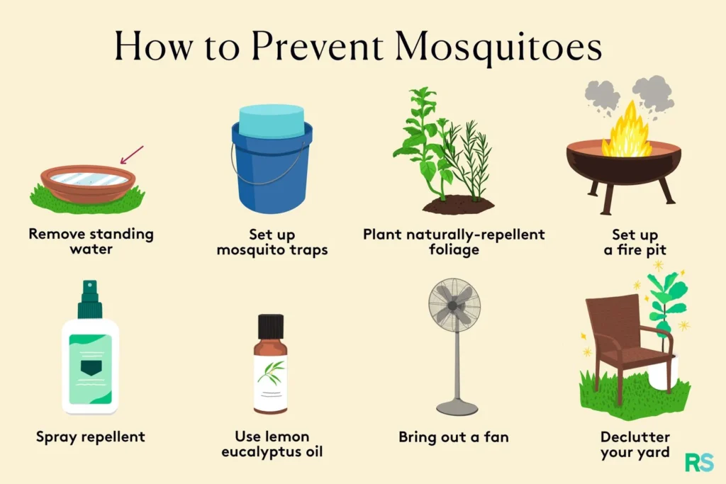 Signs of Mosquito Infestation in New Port Richey East Homes