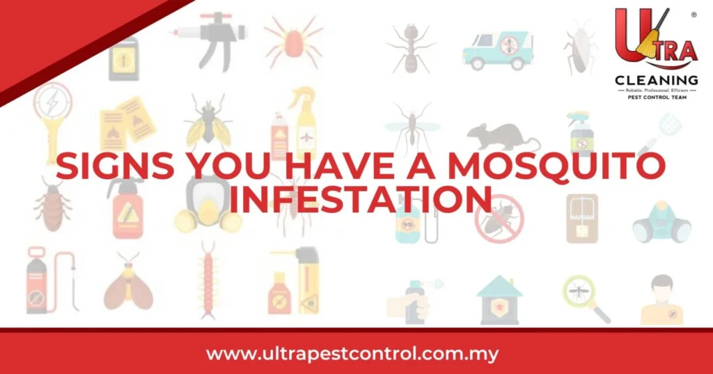 Signs of Mosquito Infestation in Wellington Homes