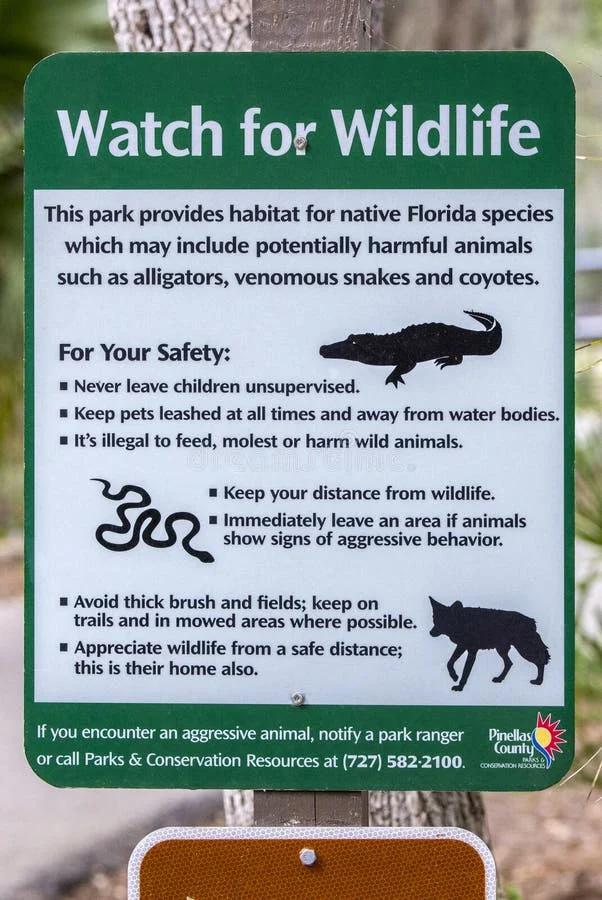 Signs of Wildlife Infestation in Pinellas Park Homes