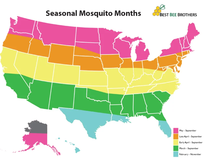 Signs That Mosquitoes Are Starting Their Season
