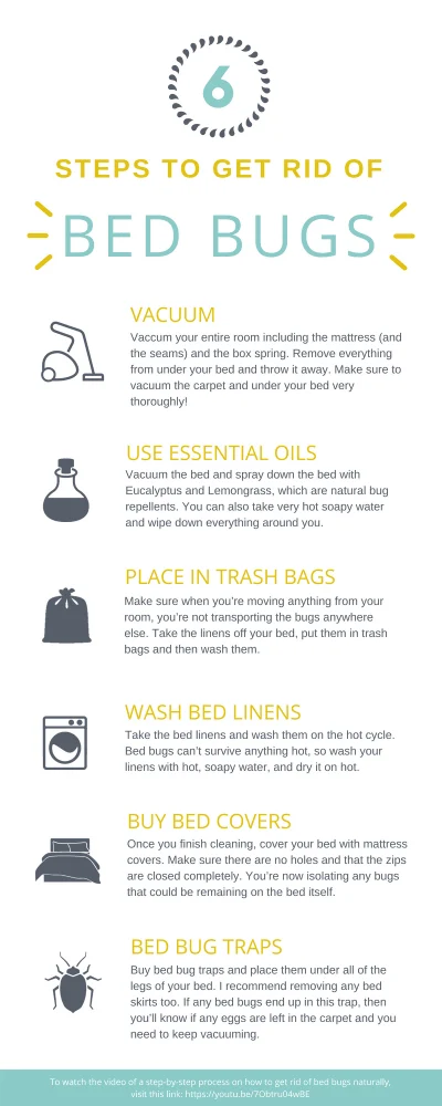 the 2025 nyc pest control guide bed bugs – Natural Removal Methods