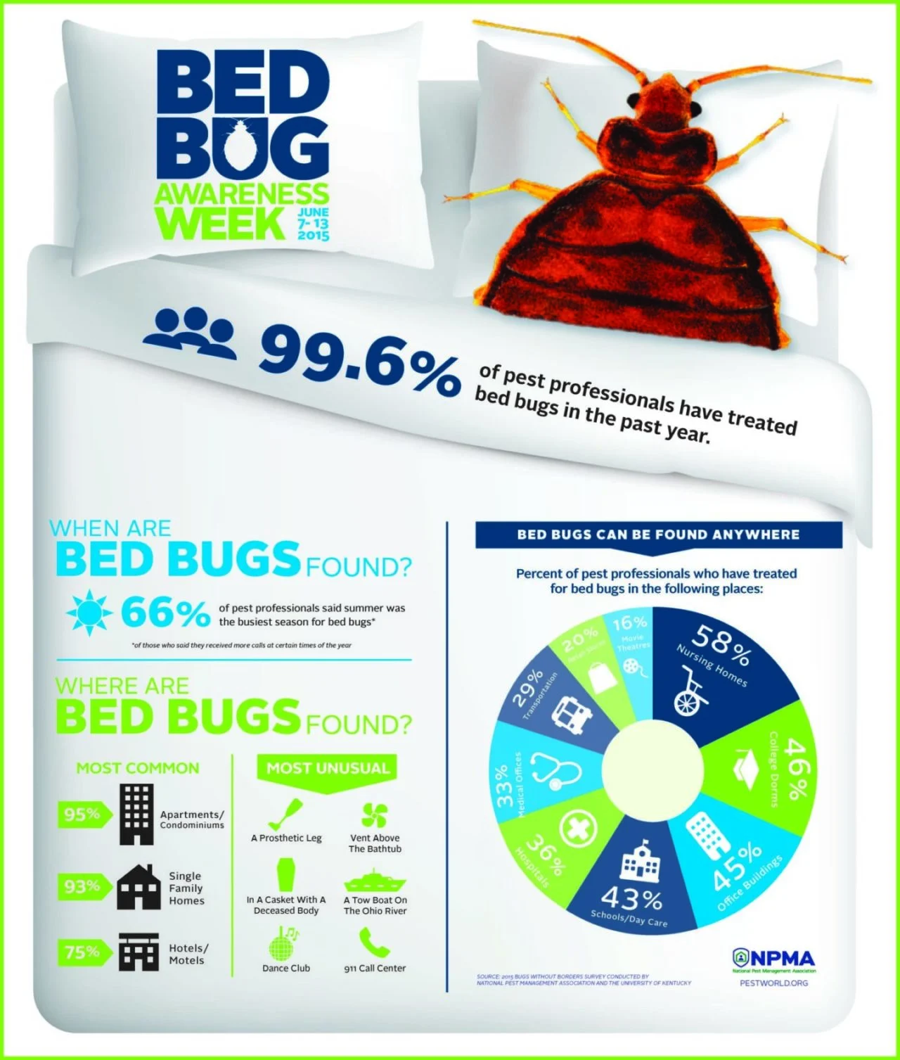 the 2025 nyc pest control guide bed bugs – Why This Pest Appears in Homes