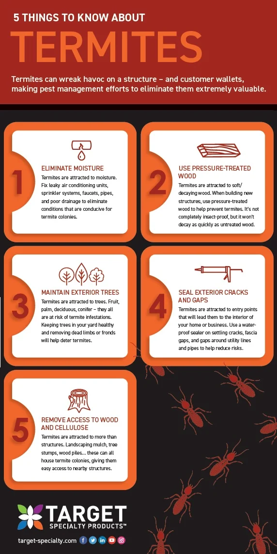 Understanding termite control Decatur: Why termites target your home