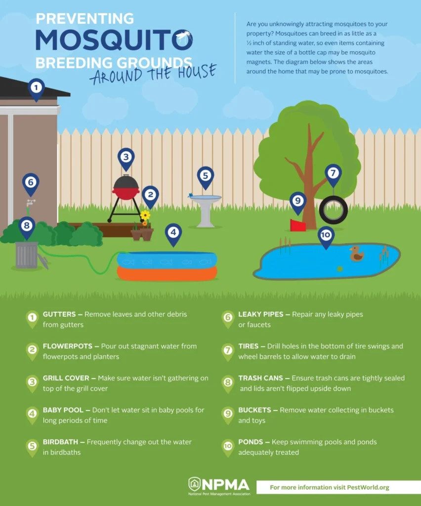what are mosquitoes attracted to: Common Triggers in and Around Your Home