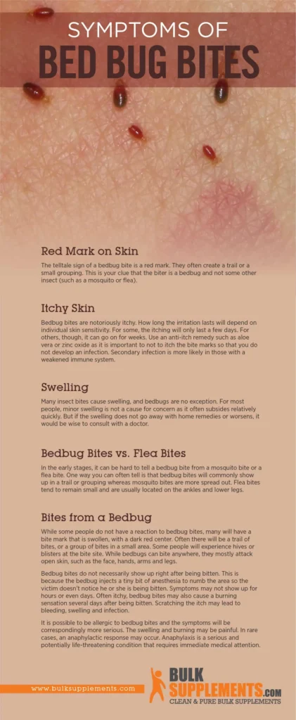 what do bed bug bites look like? Understanding the Signs