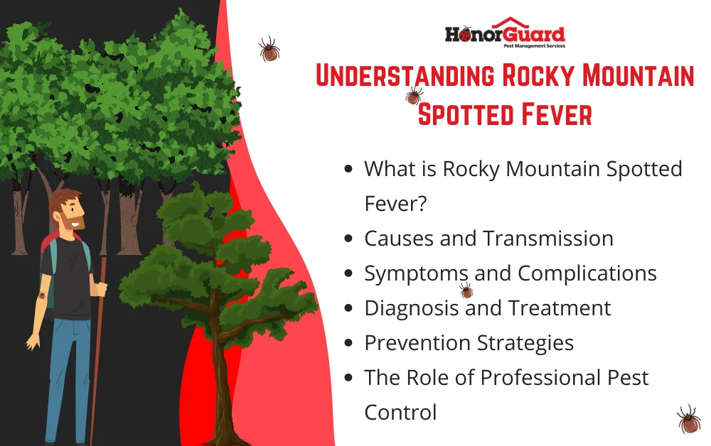 What Is Rocky Mountain Spotted Fever? Understanding the Basics