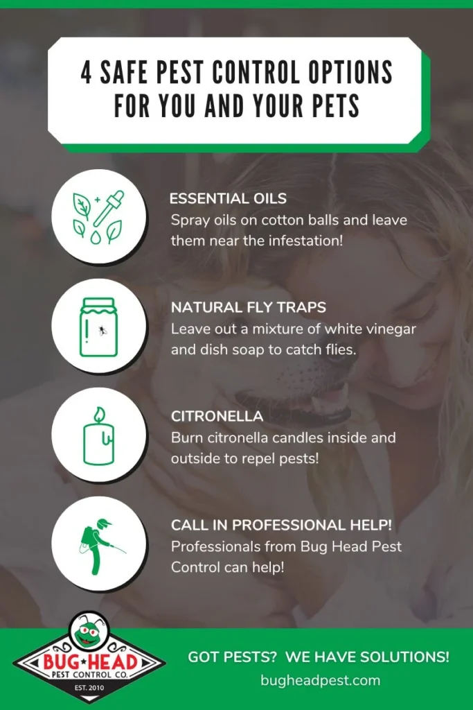 What Pest Control Is Safe for Pets: Understanding the Basics