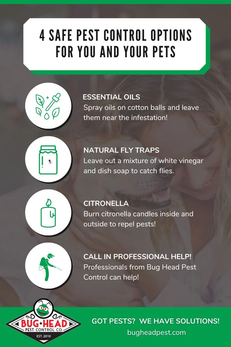 What Pest Control Is Safe for Pets: Understanding the Basics