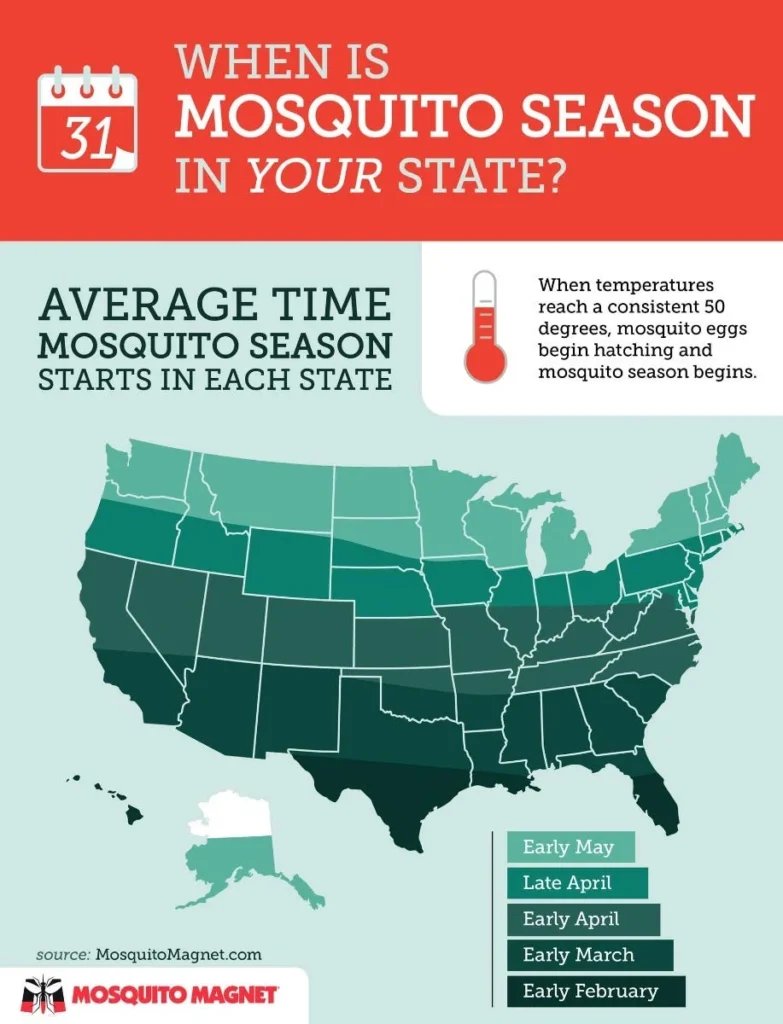 When Do Mosquitoes Return? Understanding Seasonal Patterns