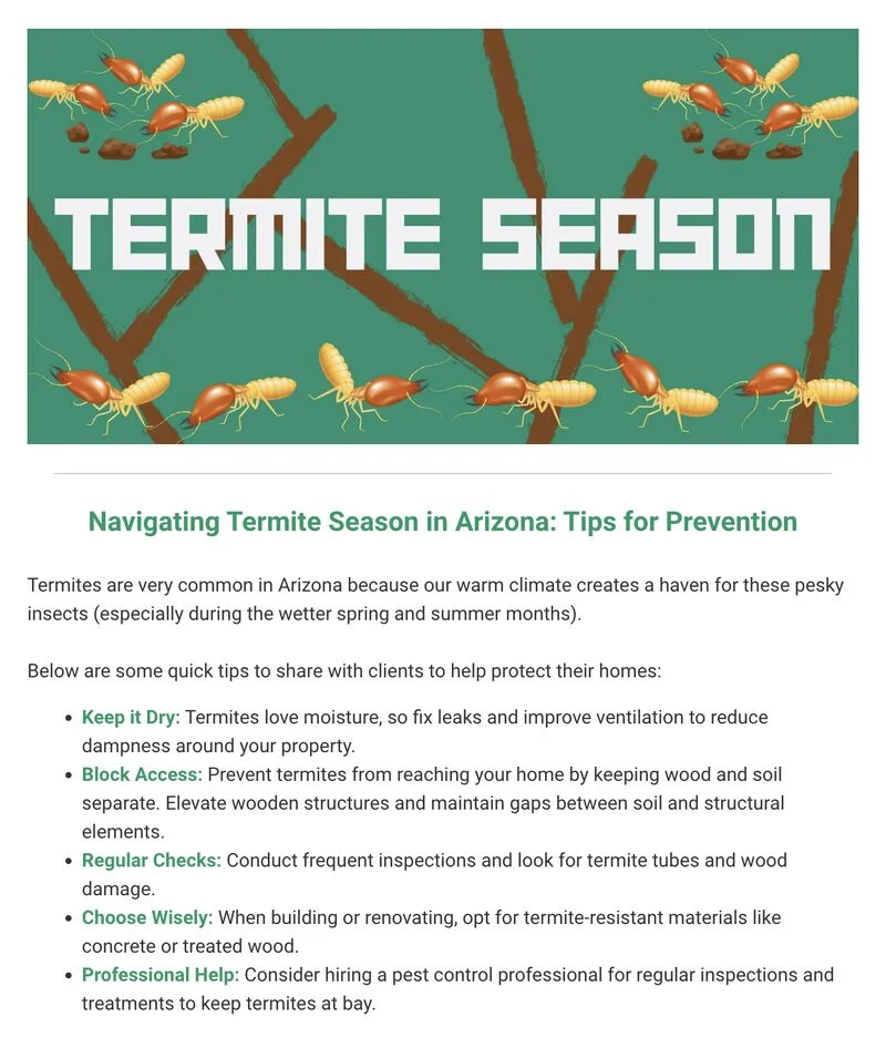 When Does Termite Season End? Regional Patterns and Key Factors