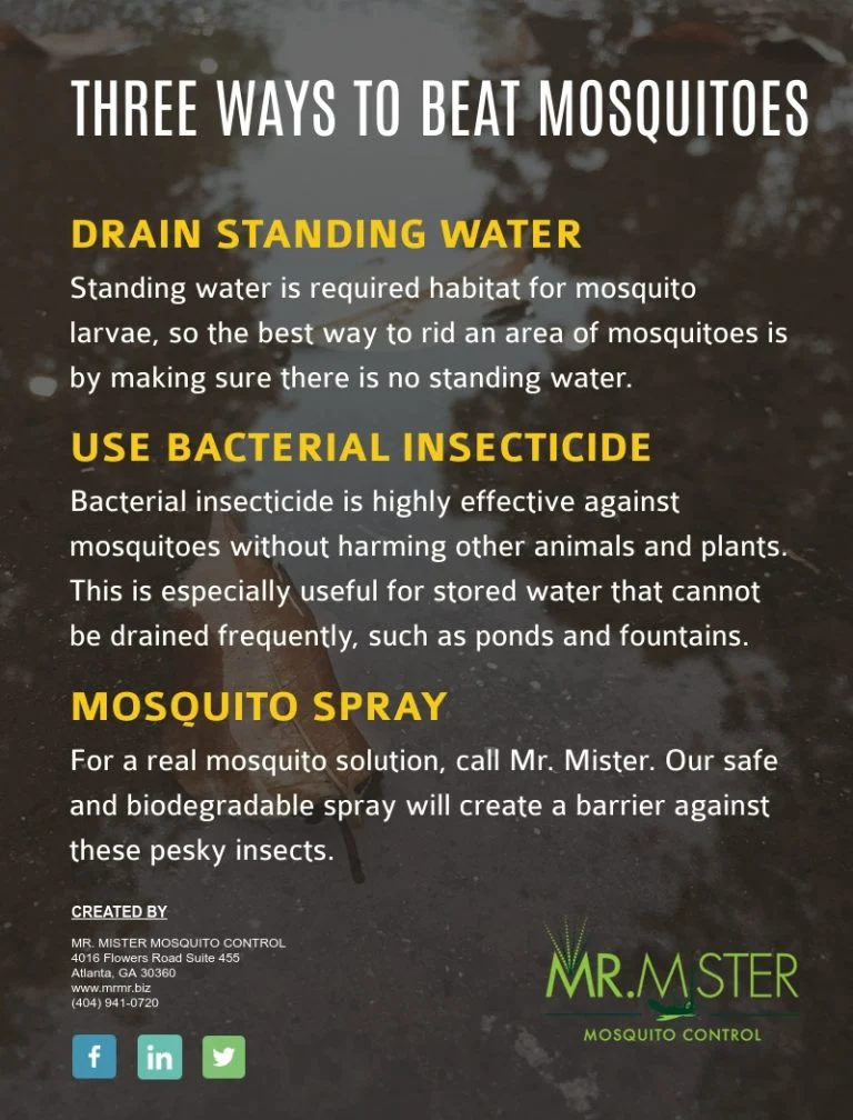 Where Mosquitoes Find Standing Water: Understanding the Habitat