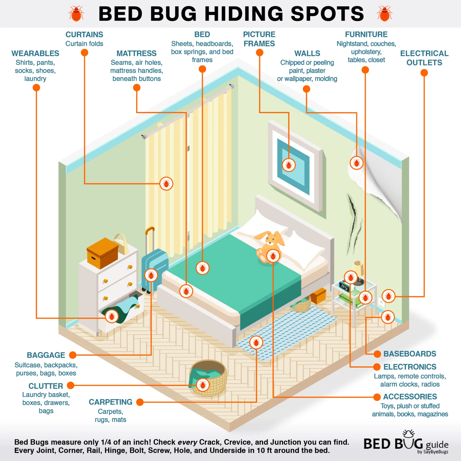 Where Should I Look for Bed Bugs? Key Areas to Inspect