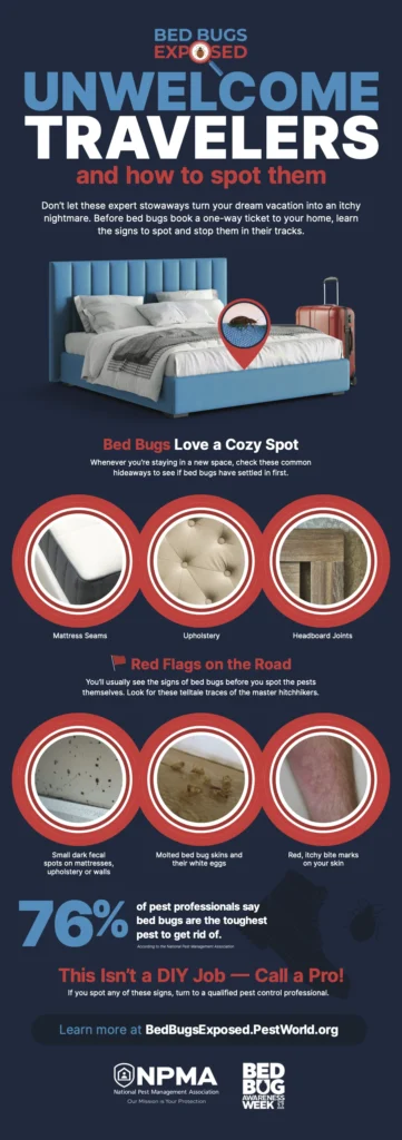 Why Bed Bugs Invade Your Home