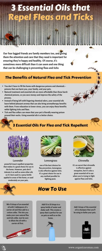 Why Flea Tick Removal Is Essential for a Healthy Home