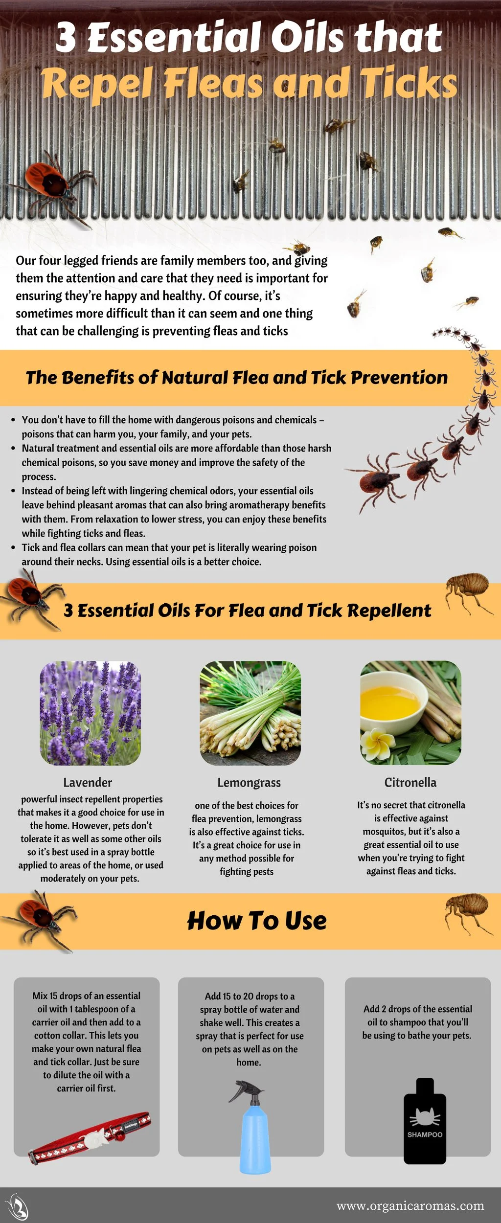 Why Flea Tick Removal Is Essential for a Healthy Home
