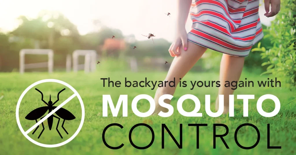 Why Mosquito Control Berkeley Lake Is Needed