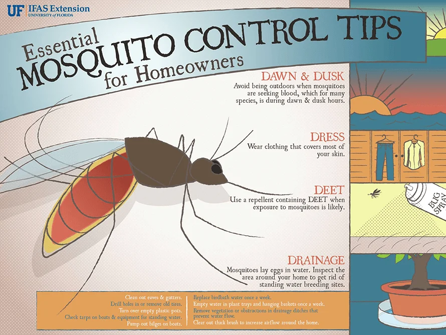 Why Mosquito Control Largo Is Essential for Every Homeowner