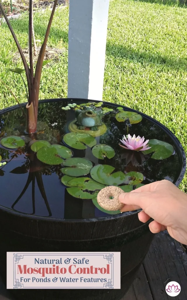 Why Mosquito Control Palm Beach Gardens Is Essential