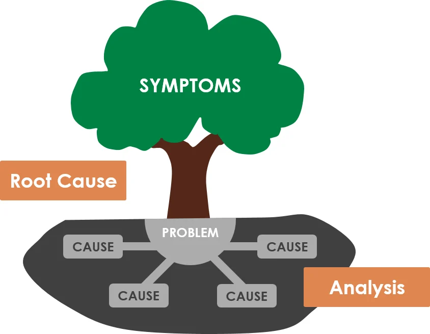 Why Pest Control Delray Beach Is a Must: Understanding the Root Causes