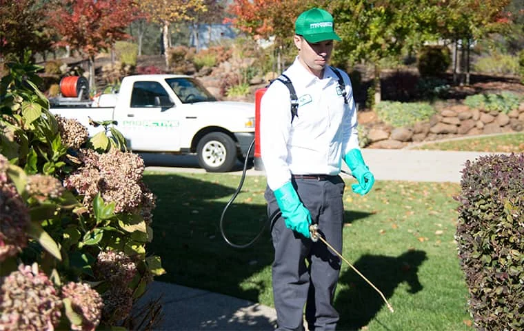 Why pest control Fair Oaks is essential for every homeowner