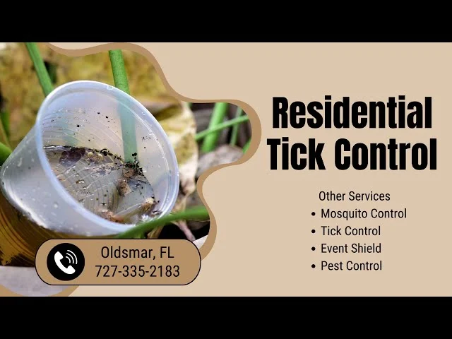 Why Pest Control Oldsmar Is Essential in This Climate