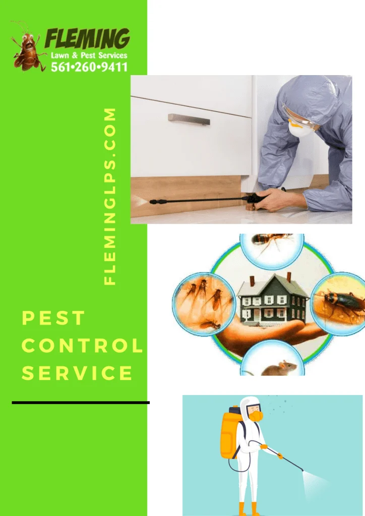 Why pest control tequesta is essential for every homeowner