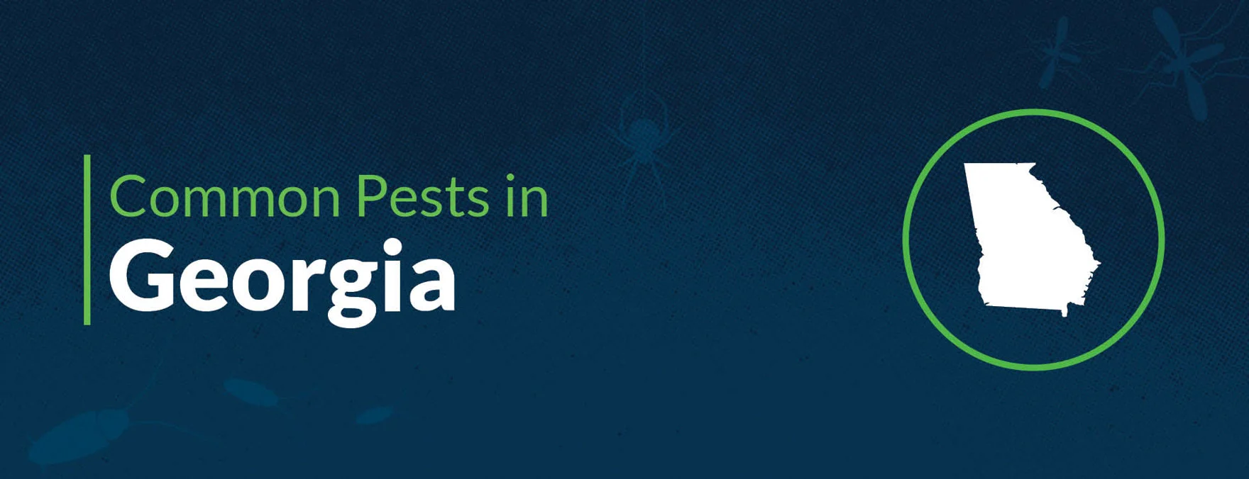 Why Pests Target Homes in locations ga dunwoody