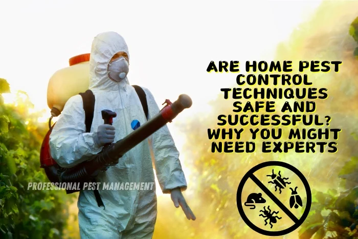 Why Proper Gear Matters for Effective Pest Management