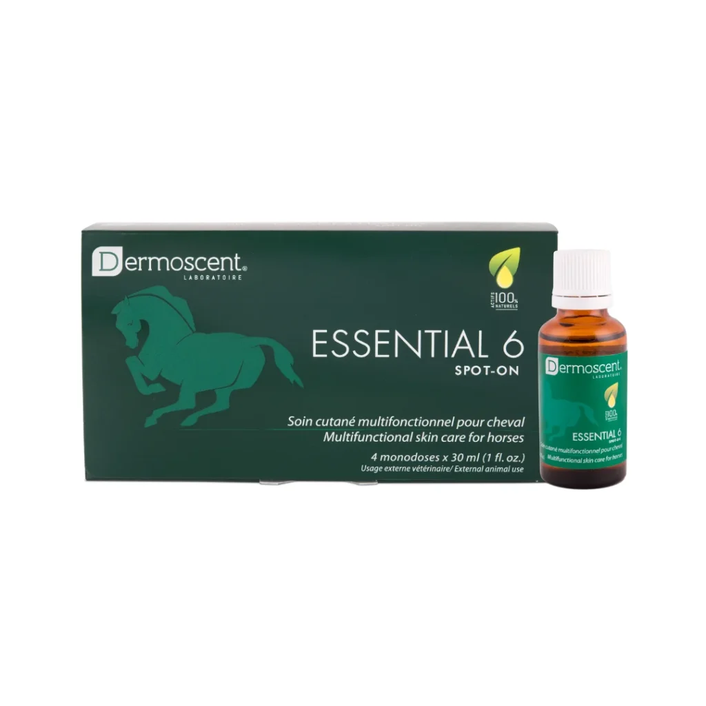 Why termite control cheval Is Essential in Cheval Homes