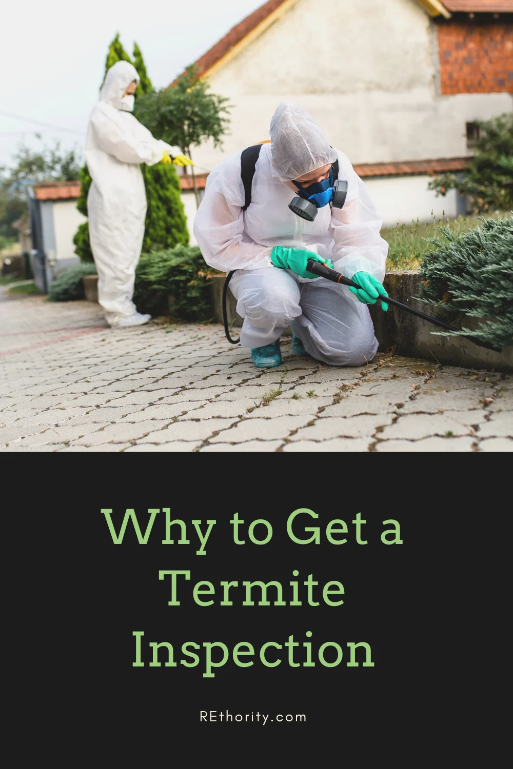 Why Termite Control Gibsonton Matters for Your Home
