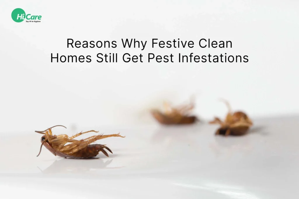 Why This Pest Appears in Dunedin Homes