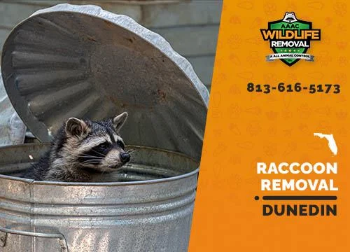 Why wildlife removal dunedin is essential for homeowners