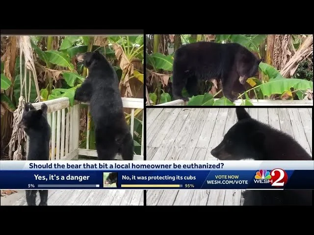 Why Wildlife Removal Seminole Is a Unique Challenge