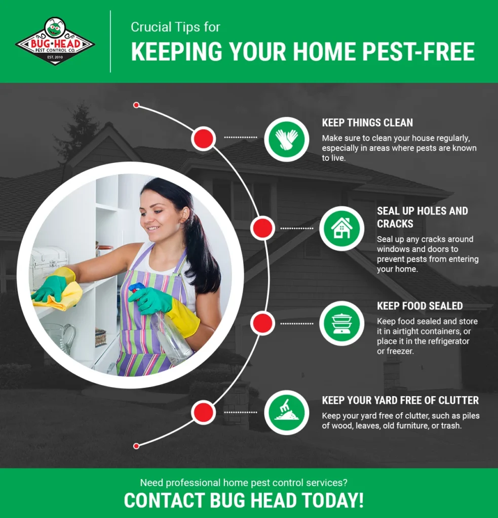 Why You Need to Prevent Pests by Keeping Bugs Out of Your House